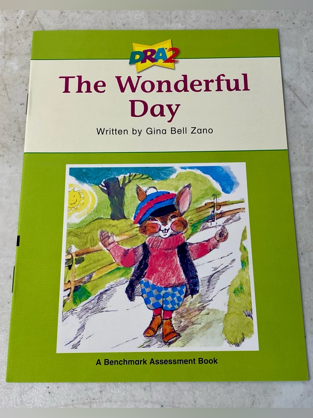 The Wonderful Day (A Benchmark Assessment Book Level 24) - Paperback - VERY GOOD
